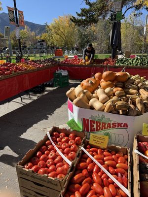Boulder Farmers Market by null
