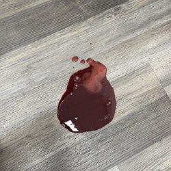 Spalding Animal Hospital - Blood