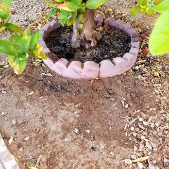 Sprinkler Doctors - My    is happy now! - Landscaping Near Me - Gilbert, Arizona