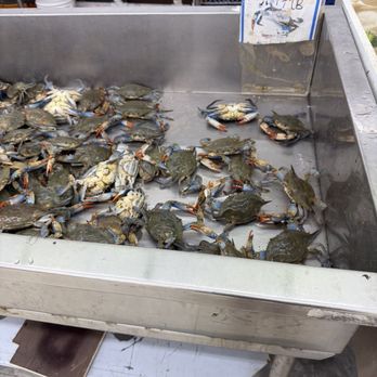 Mei's Supermarket - Crabs - Specialty Food Near Me - Union Park, Florida