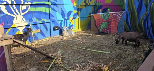 Paradigm Gardens by null