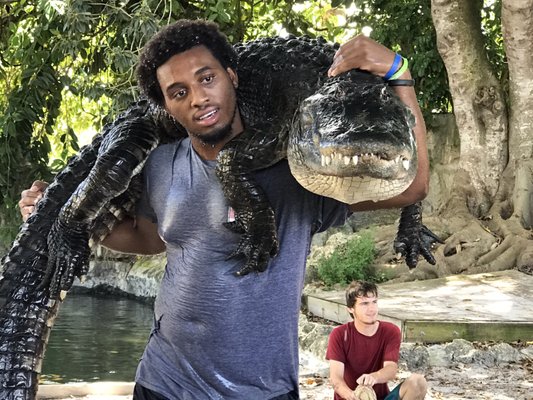 Everglades Outpost by null