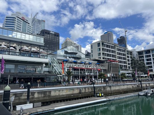 Dr Rudi's Rooftop Brewing Co. by null