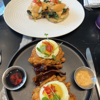 OLIVIA - Chicken and Doughn-affles & Biscuits and Gravy - Italian Near Me - Tampa, Florida OLIVIA - Chicken and Doughn-affles & Biscuits and Gravy - Italian Near Me - Tampa, Florida