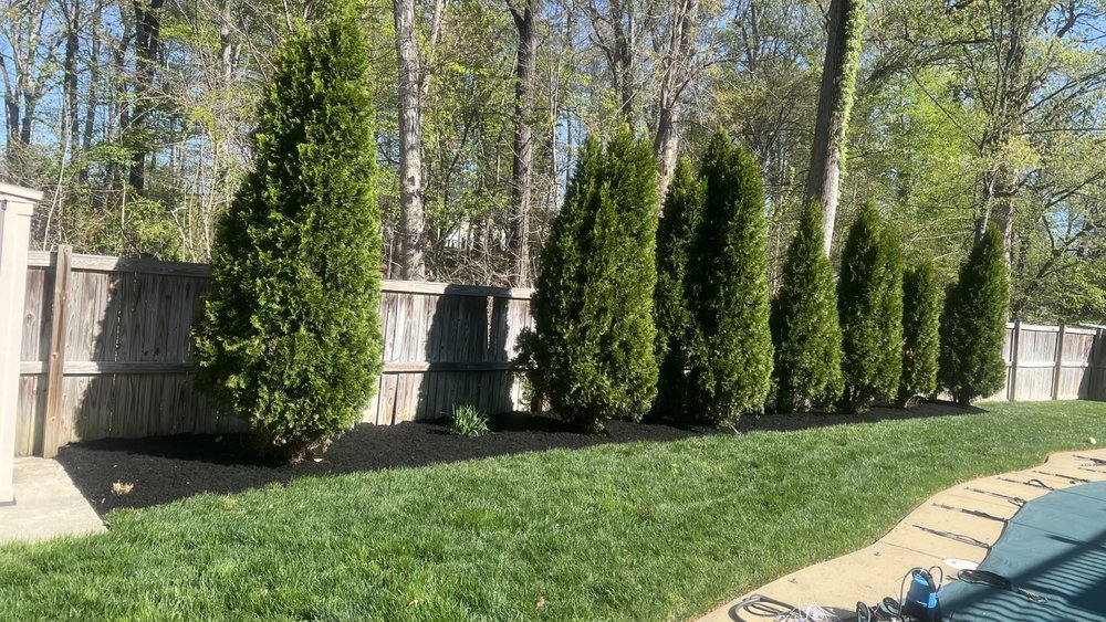 JC & SON LANDSCAPING SERVICE - Updated January 2026 - Request a Quote ...