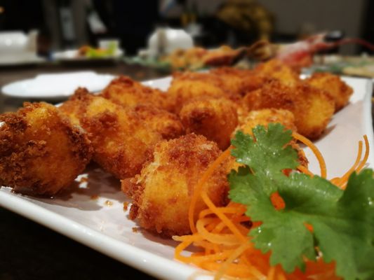 Captain's Catch by null