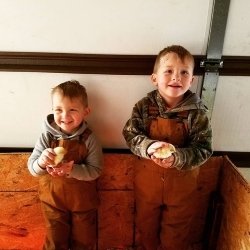 Cowlick Farms - Jr. Chicken Farmers