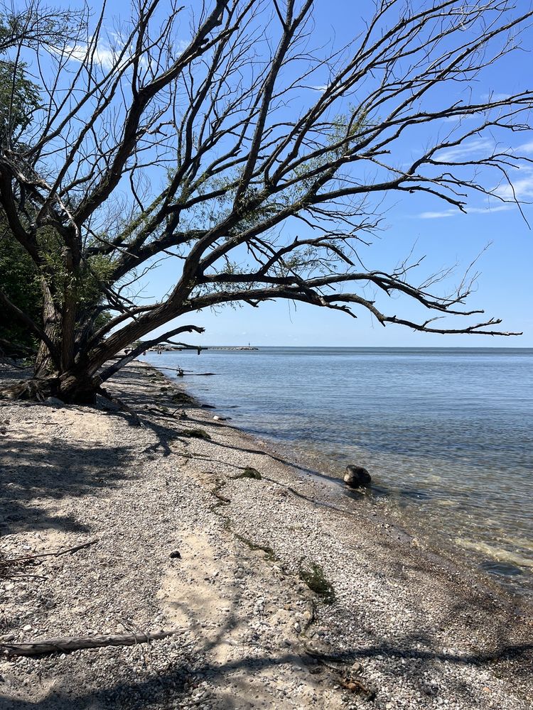 BAY SHORE PARK Updated May 2024 5637 Sturgeon Bay Rd, New Franken