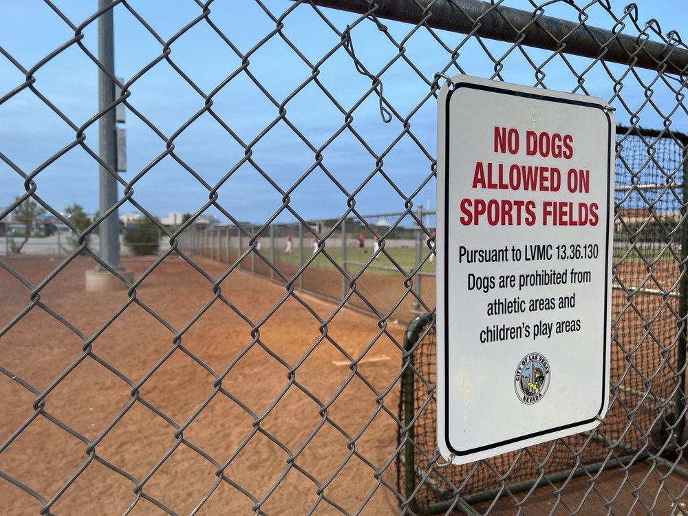 DOC ROMEO PARK Updated September 2024 29 Photos 7400 Peak Dr, Las