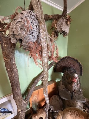 Sky Meadows State Park by null