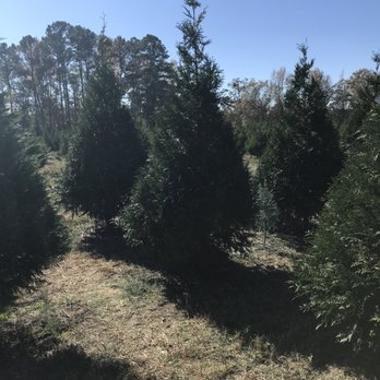 Hollow Creek Tree Farm - Nurseries & Gardening Near Me - Gilbert, South Carolina