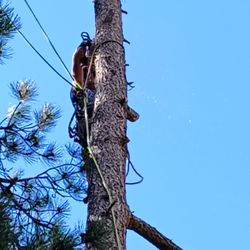 Mile High Shine Residential Services
