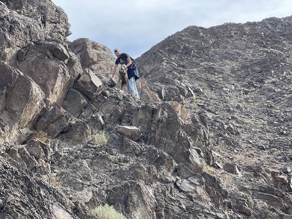 MYOLAB Updated August 2024 2285 S 4th Ave, Yuma, Arizona Massage