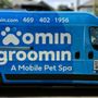 Zoomin Groomin