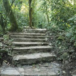 Los Comales - These are minor but  this trip has my calves in major pain so many stairs everywhere, especially at Las Pozas...FYI