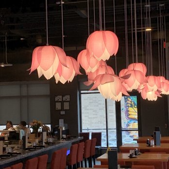 Wasabi-Ankeny - Pretty lights - Sushi Bars Near Me - Ankeny, Iowa Wasabi-Ankeny - Pretty lights - Sushi Bars Near Me - Ankeny, Iowa