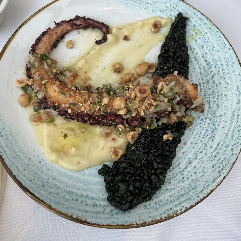 Bari Ristorante - Octopus - Italian Near Me - Houston, Texas Bari Ristorante - Octopus - Italian Near Me - Houston, Texas