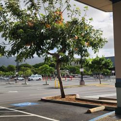 Hawaii Kai Towne Center - Wide open parking on Sunday morning