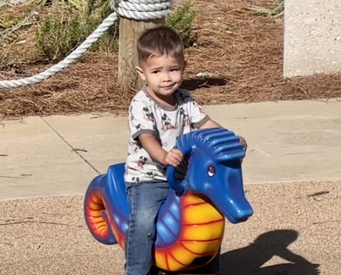 Lowcountry Celebration Park by null