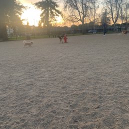 Dog park! Dog park!