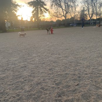 Westwood Park - Dog park! - Parks Near Me - Los Angeles, California Westwood Park - Dog park! - Parks Near Me - Los Angeles, California