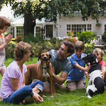 Environmental Services Pest Control - Pest Control Near Me - Lansdale, Pennsylvania Environmental Services Pest Control - Pest Control Near Me - Lansdale, Pennsylvania