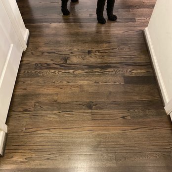 Sultan Flooring & Rugs - a dog standing in a hallway - Flooring Near Me - Silver Spring, Maryland