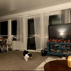 Asgard Apartments - Main Living room area