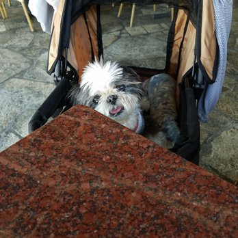 Paul's Place - My oldest girl waiting for burger and fries. Can you believe she's 18! - Diners Near Me - Anaheim, California