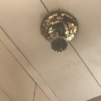 Margaritaville - Key West - Mold and scum all over the sprinklers on the ceiling - American Near Me - Key West, Florida Margaritaville - Key West - Mold and scum all over the sprinklers on the ceiling - American Near Me - Key West, Florida