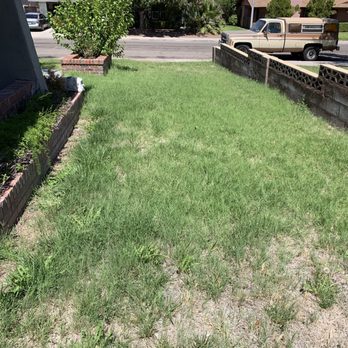 Jr's Lawn Maintenance - Front yard Before - Landscaping Near Me - Henderson, Nevada