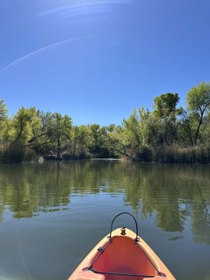 Patagonia Lake State Park by null
