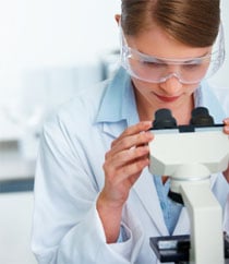 PowerBees - mold inspector in Wayland, MA