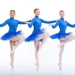 Julie Moffitt Ballet School - Blue Siamese Cats