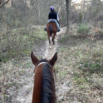 Cypress Trails Ranch - Trail riding - Horseback Riding Near Me - Humble, Texas Cypress Trails Ranch - Trail riding - Horseback Riding Near Me - Humble, Texas