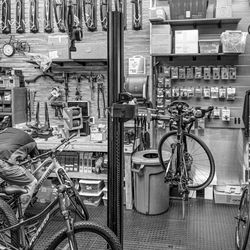 South Bay Cycle - They sell it, set it up and repair it - a professional shop.