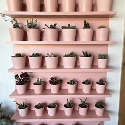 Beautiful wall of plants! Beautiful wall of plants!