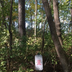 Kohl Memorial Park - On the nature trail