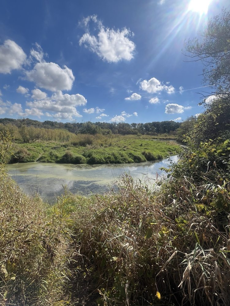 Van Patten Woods Forest Preserve - equestrian in Wadsworth, IL