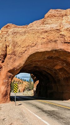 Dixie National Forest by null