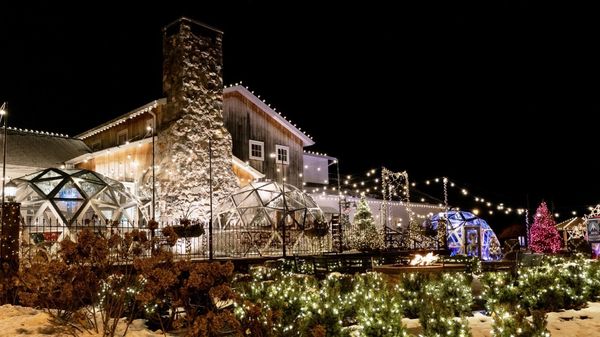 White Horse Inn by null