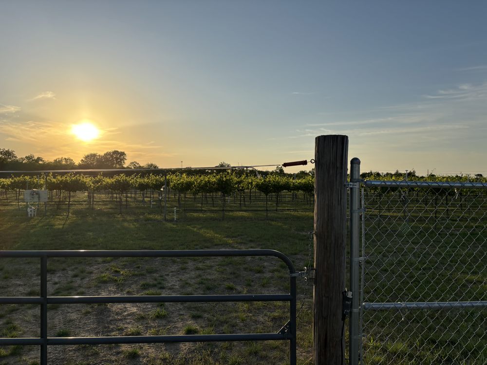Inland Ocean Vineyards - vineyard in Hutchinson, KS