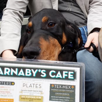 Barnaby's Cafe - Barnaby's is dog-friendly! :) They even have disposable bowls for water for your pets. - Breakfast & Brunch Near Me - Houston, Texas