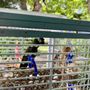 Photo of Rainforest Clinic For Birds