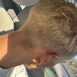 Dyed Hair/Hair Coloring Treatment  Platinum blonde asked for and got on the second toning after I said the first tone was too grey.