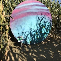 Mike's Maze At Warner Farm