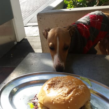 Nordburger - Burger with a fancy twist! My dog wants it more than anything in his life haha - Burgers Near Me - Norwood, SA Nordburger - Burger with a fancy twist! My dog wants it more than anything in his life haha - Burgers Near Me - Norwood, SA