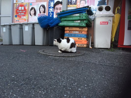 Yanaka Ginza by null
