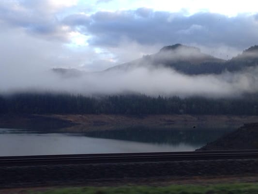 Willamette National Forest by null