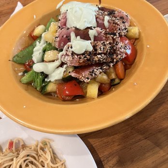 Odyssey World Cafe - Cafes Near Me - Paso Robles, California Odyssey World Cafe - Cafes Near Me - Paso Robles, California